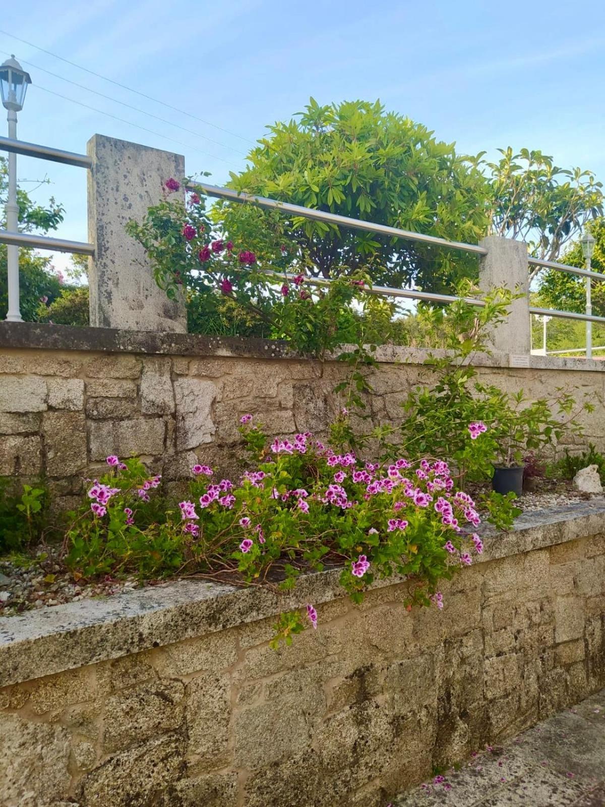 Apartamento Con Jardin Y Piscina Temporada Verano Privados Samieira Eksteriør bilde